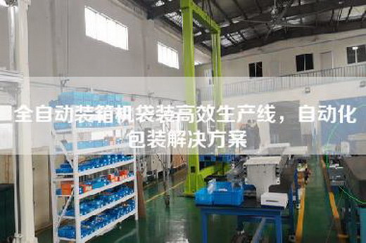 全自动装箱机袋装高效生产线，自动化包装解决方案