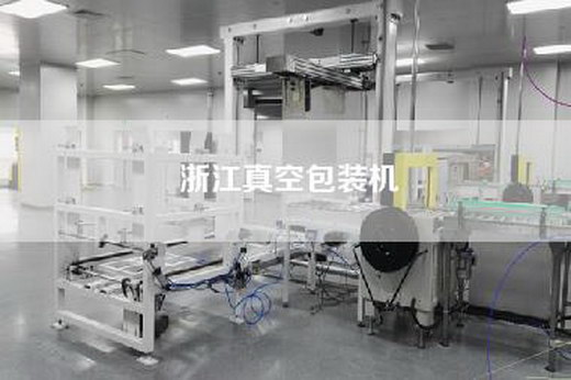 浙江真空包装机