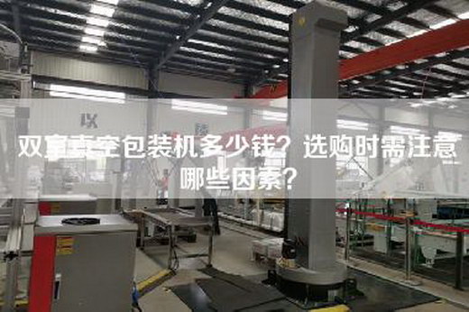 双室真空包装机多少钱？选购时需注意哪些因素？