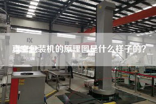 真空包装机的原理图是什么样子的？