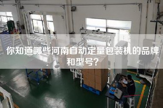 你知道哪些河南自动定量包装机的品牌和型号？