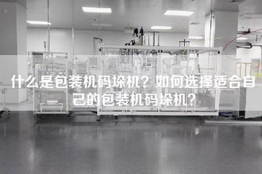 什么是包装机码垛机？如何选择适合自己的包装机码垛机？