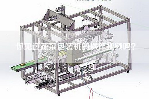 你见过蔬菜包装机的操作视频吗？