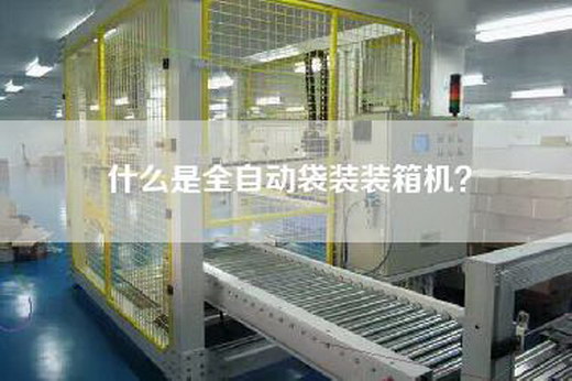 什么是全自动袋装装箱机？
