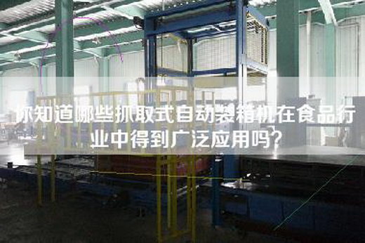 你知道哪些抓取式自动装箱机在食品行业中得到广泛应用吗？