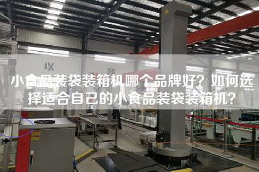 小食品装袋装箱机哪个品牌好？如何选择适合自己的小食品装袋装箱机？