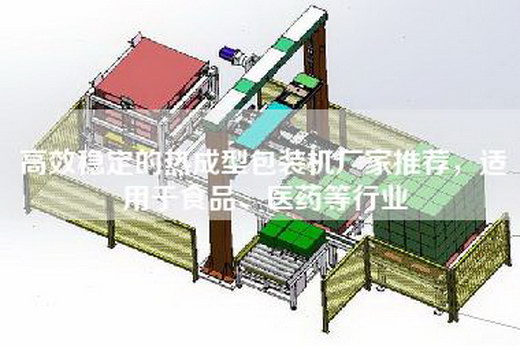 高效稳定的热成型包装机厂家推荐，适用于食品、医药等行业