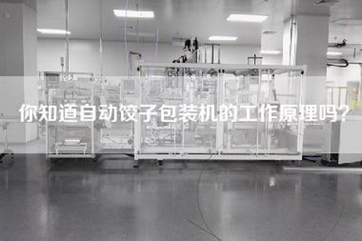 你知道自动饺子包装机的工作原理吗？