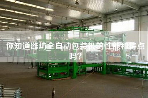 你知道潍坊全自动包装机的性能和特点吗？