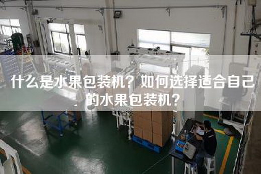 什么是水果包装机？如何选择适合自己的水果包装机？