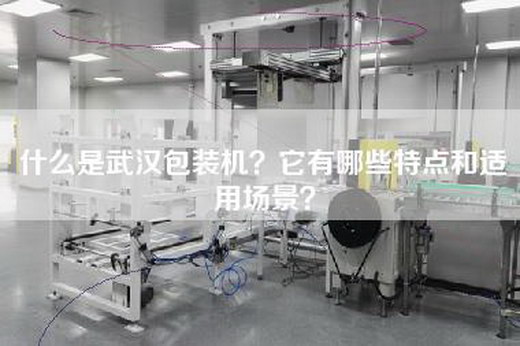 什么是武汉包装机？它有哪些特点和适用场景？
