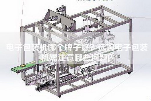 电子包装机哪个牌子好？选购电子包装机需注意哪些问题？