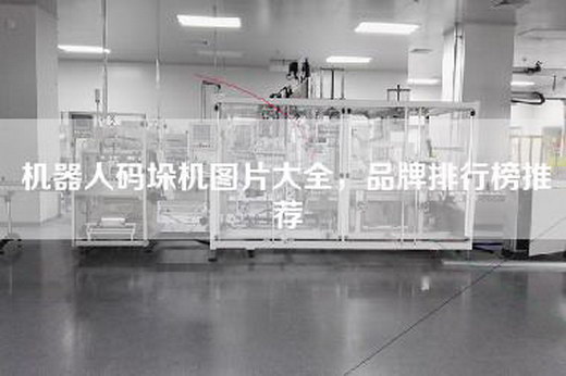 机器人码垛机图片大全，品牌排行榜推荐