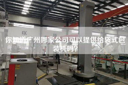 你知道广州哪家公司可以提供给袋式包装机吗？