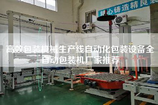 高效包装机械生产线自动化包装设备全自动包装机厂家推荐