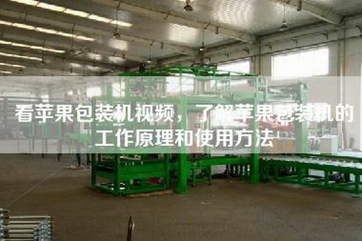 看苹果包装机视频，了解苹果包装机的工作原理和使用方法