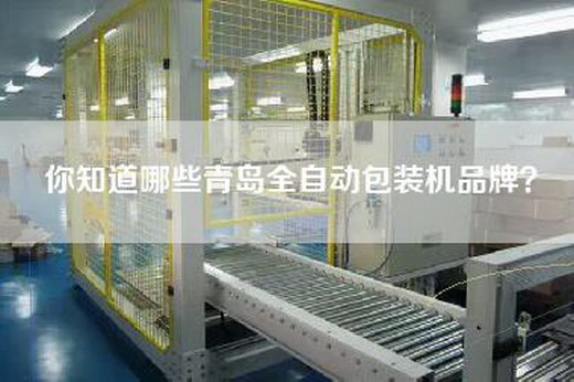 你知道哪些青岛全自动包装机品牌？