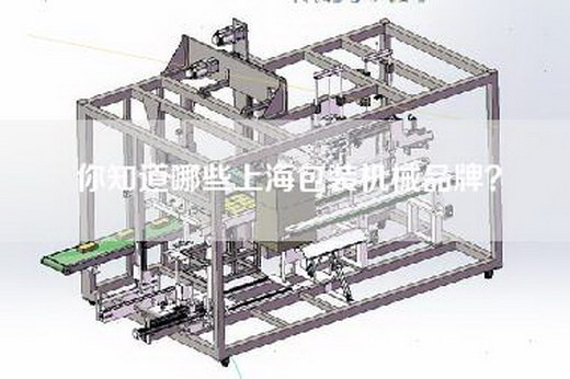 你知道哪些上海包装机械品牌？