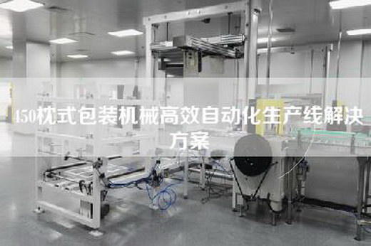 450枕式包装机械高效自动化生产线解决方案