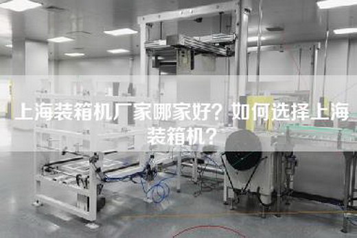 上海装箱机厂家哪家好？如何选择上海装箱机？