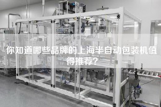 你知道哪些品牌的上海半自动包装机值得推荐？