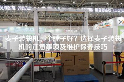 麦子装袋机哪个牌子好？选择麦子装袋机的注意事项及维护保养技巧