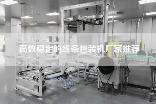 高效稳定的线条包装机厂家推荐
