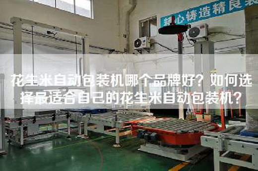 花生米自动包装机哪个品牌好？如何选择最适合自己的花生米自动包装机？