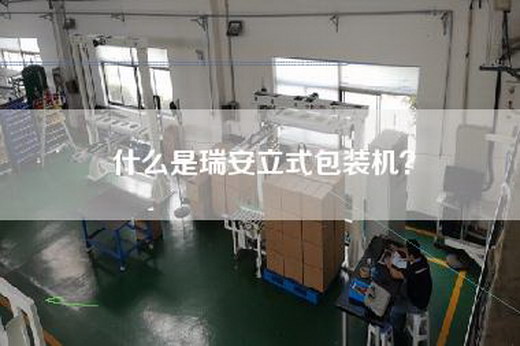 什么是瑞安立式包装机？