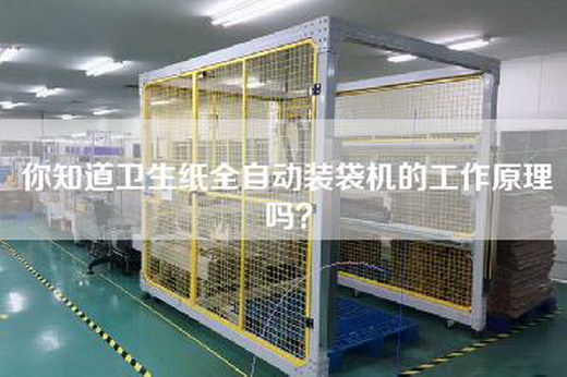 你知道卫生纸全自动装袋机的工作原理吗？