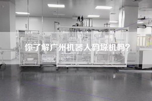 你了解广州机器人码垛机吗？