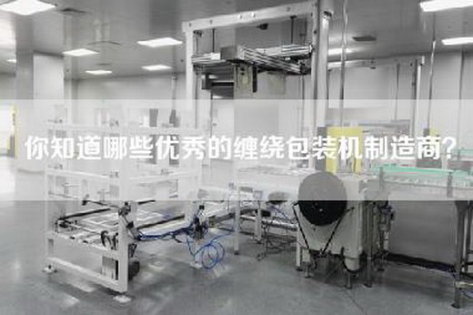 你知道哪些优秀的缠绕包装机制造商？