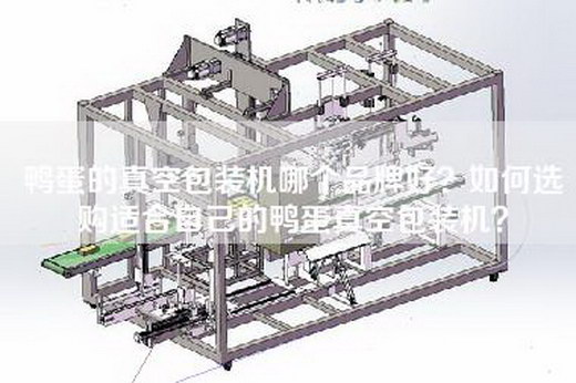 鸭蛋的真空包装机哪个品牌好？如何选购适合自己的鸭蛋真空包装机？