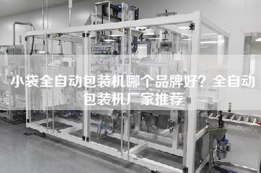 小袋全自动包装机哪个品牌好？全自动包装机厂家推荐