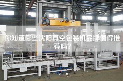 你知道哪些沈阳真空包装机品牌值得推荐吗？
