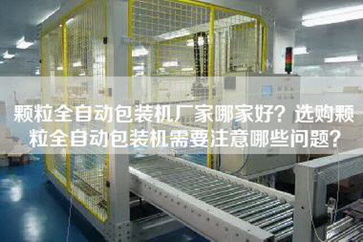 颗粒全自动包装机厂家哪家好？选购颗粒全自动包装机需要注意哪些问题？