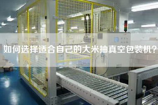 如何选择适合自己的大米抽真空包装机？