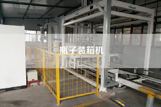瓶子装箱机
