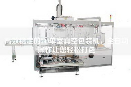 高效稳定的500单室真空包装机，全自动操作让您轻松打包