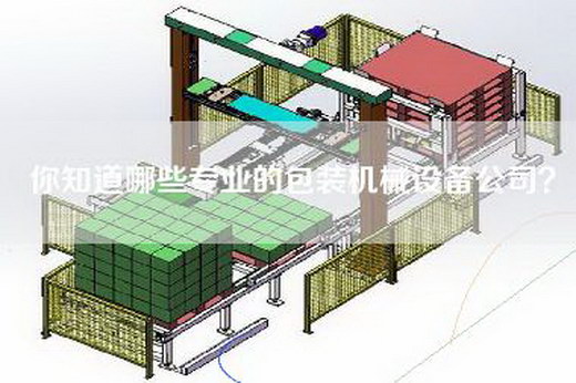 你知道哪些专业的包装机械设备公司？