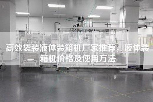 高效袋装液体装箱机厂家推荐，液体装箱机价格及使用方法