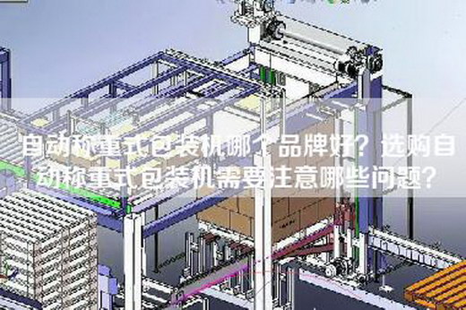 自动称重式包装机哪个品牌好？选购自动称重式包装机需要注意哪些问题？