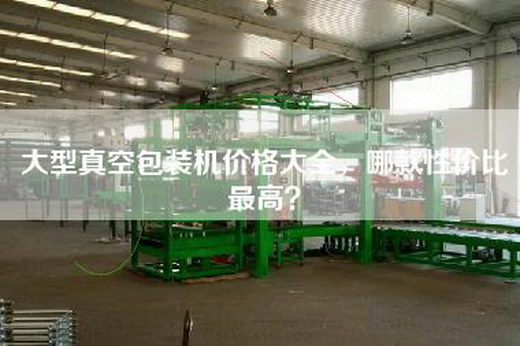 大型真空包装机价格大全，哪款性价比最高？
