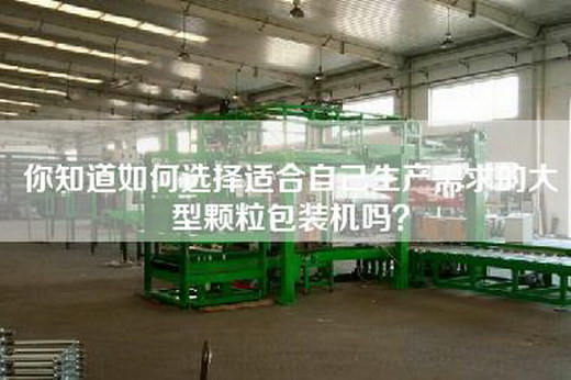 你知道如何选择适合自己生产需求的大型颗粒包装机吗？