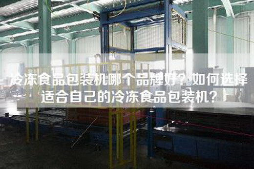 冷冻食品包装机哪个品牌好？如何选择适合自己的冷冻食品包装机？