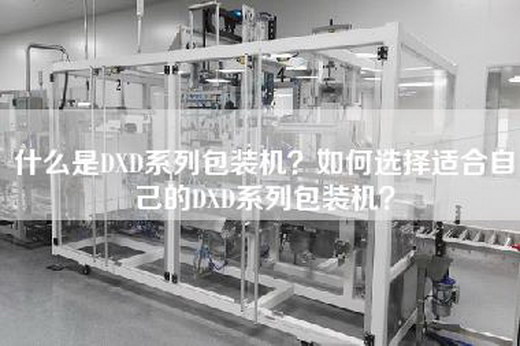 什么是DXD系列包装机？如何选择适合自己的DXD系列包装机？