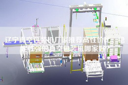 辽宁真空包装机厂家推荐高性价比、稳定性强的真空包装机哪家好？