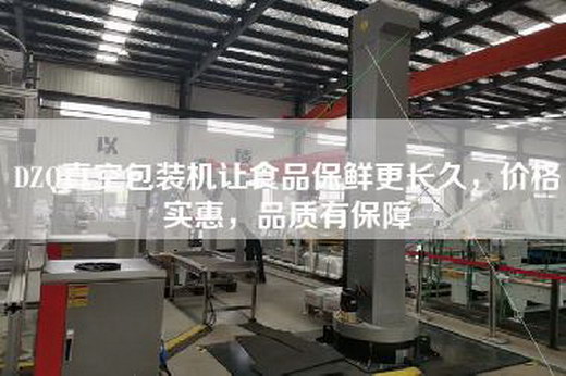 DZQ真空包装机让食品保鲜更长久，价格实惠，品质有保障