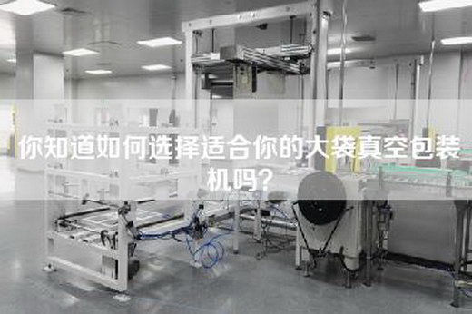 你知道如何选择适合你的大袋真空包装机吗？