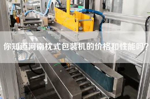 你知道河南枕式包装机的价格和性能吗？